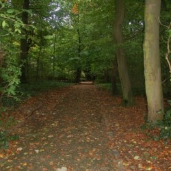 dsc 0519 - Sportraad Zaventem 